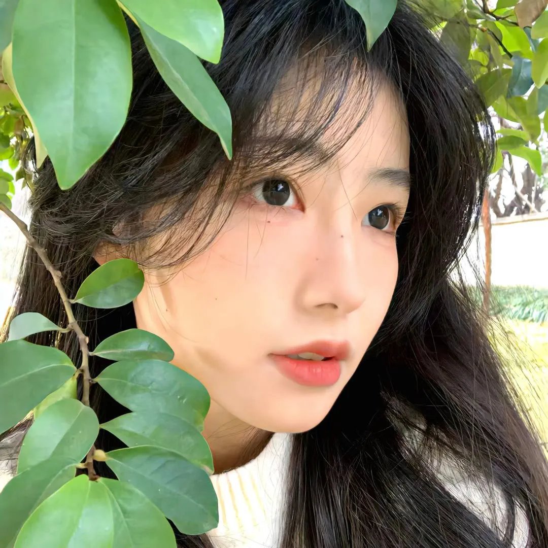 云上的小店第二季